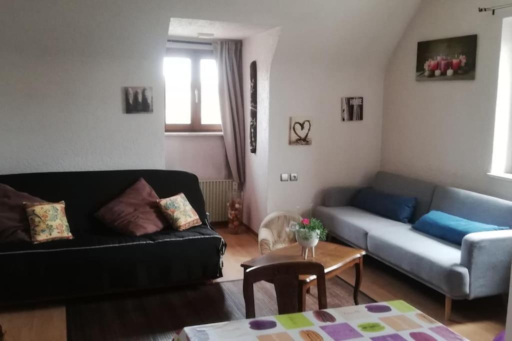 Chez Mamilou Apartman Soufflenheim Kültér fotó
